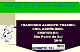 FRANCISCO ALBERTO TRAESEL ENG. AGRÔNOMO. …atividaderural.com.br/artigos/4ffdbc5f16c14.pdf · 4 - 22 kg de silagem milho + 6,0 kg de feno de alfafa . REGIÃO SUL-POTENCIALIDADES