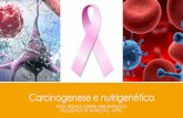 Carcinogenese e nutrigenética - wp.ufpel.edu.brwp.ufpel.edu.br/renataabib/files/2016/03/CARCINOGENESE-E... · Este complexo migra para o núcleo e liga-se ... produto do seu metabolismo,