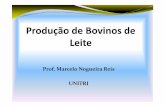 Prof. Marcelo Nogueira Reis UNITRI · 2018-04-05 · -Comprimento dos Tetos Anteriores-Colocação dos Tetos Posteriores Resumo da Classificação. Resumo da Classificação. MÉTODOS
