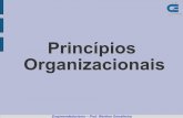 Princípios Organizacionais - wiki.ifsc.edu.br · Princípios e Valores Princípios são balizamentos para o processo decisório e para o comportamento da empresa no cumprimento de