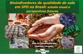 Bioindicadores de qualidade de solo em SPD no Brasil ... · Unificar as amostragens para microbiologia e fertilidade do solo A amostra FERTBIO: Flor/Ench 65(%) Plantio (A/D ) 23(%)