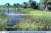 PROGRAMA PRODUTOR DE ÁGUA NO GUARIROBA de gua... · Agência Nacional de Águas – Gerência de Uso Sustentável de Água e Solo PROGRAMA PRODUTOR DE ÁGUA NO GUARIROBA Devanir