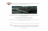 INSTITUTO SUPERIOR DE ENGENHARIA DE LISBOA · 2013-01-30 · Gestão de riscos na construção de túneis e obras ... Na engenharia civil, a construção de túneis e obras subterrâneas