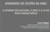 O CENÁRIO EDUCACIONAL, A BNCC E A LEI DO NOVO ENSINO …anec.org.br/wp-content/uploads/2018/05/BNCC-EM-CCALLEGARI-ANEC-1.pdf · escolares, redes de escolas e seus respectivos sistemas