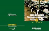 GuiadoCampo Sementes Agroceres Milho Sorgo - CCPRANccpran.com.br/upload/downloads/dow_3.pdf · a fase de linha de leite na metade do grão, entretanto, a redução na digestibilidade