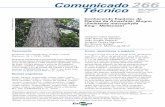 COMUNICADO TECNICO 266 - ainfo.cnptia.embrapa.brainfo.cnptia.embrapa.br/digital/bitstream/item/129777/1/COM-TEC... · Conhecendo Espécie de Plantas da Amazônia: ... internos em
