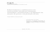 Policromatismo e stabilimentum em Gasteracantha cancriformisrepositorio.unb.br/.../2370/1/2007_FelipeMalheirosGawryszewski.pdf · obtenção do grau de Mestre em Biologia Animal.