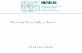 Matriz de Contabilidade Social - USP - Universidade de São … · 2015-08-19 · A MCS incorpora e reconcilia dados de várias fontes dentro ... nacionais, balanço de pagamentos,