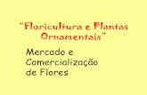 “Floricultura e Plantas Ornamentais” - esalq.usp.br 2012.pdf · •Como são formados/negociados os preços de venda dos produtos? Cálculo dos custos mais a margem de lucratividade.