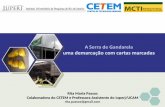 Introdução - cetem.gov.br · (classes Especial e do Conselho Nacional do Meio Ambiente - Conama) (REVISTA ECOLÓGICO, 2010). - Juntamente com os campos rupestres e os campos de