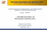 SISTEMA NACIONAL DE PROTEÇÃO E DEFESA CIVIL”oficinadefesacivil.com.br/wp-content/uploads/2017/11/3_Sistema_nac... · Pós-graduado em Direito Ambiental - ULBRA/RS –(2003). Mestre