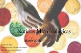 Notícias Microbiológicas - UFRGS · • A que filo pertence os fungos do gênero Aspergillus? ... bactéria Brucella abortus nos bovinos. É uma doença que pode ser transmitida
