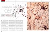 Os novos astros do cérebro - unesp.brunesp.br/aci/revista/ed05/pdf/UC_05_Astrocitos01.pdf · sentidos, os movimentos, a memória, o pensamento e tudo mais que acontece no cérebro.