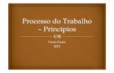 Paula Freire 2015 - aulasjuridicas.files.wordpress.com · Principio da razoabilidade da duraçãodo processo: Prazos estabelecidos pelo CNJ. Dependerá do tipo de ato processual.