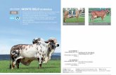 MONTE BELO DE BRASÍLIA Belo_Cat... · 2018-10-01 · consistente em produção e qualidade de sistema mamário quanto a sustentação ... aos 4 anos e 7 meses Zonara - mãe vaca