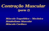 Contração Muscular - ufrgs.br em PDF/16... · Contração Muscular (parte 2) ... Contração Energia mecânica Energia química Reserva: cerca de 5 gmol/g do músculo ATP . Figure