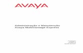 Administração e Manutenção Avaya MultiVantage Expresssupport.avaya.com/elmodocs2/MultiVantage_Express/R2/03-602252_1... · Administração e Manutenção do Avaya Multivantage
