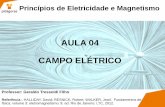 AULA 04 CAMPO ELÉTRICO - s3.amazonaws.com fileO Campo Elétrico no interior de um isolante produz o fenômeno da polarização dielétrica, que consiste no alinhamento das moléculas