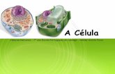 A Célula - lubangocomciencia.weebly.comlubangocomciencia.weebly.com/uploads/9/4/4/0/9440481/a_clula.pdf · A célula é a unidade básica de vida; A célula é a unidade mais pequena