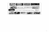 Geral e Evolução/Anelideos.pdf · Esquema do sistema nervoso de anelideos (minhoca) A- vista ventral; B- vista lateral da regiäo anterior. (suprafaríngeos), unidos por conectivos
