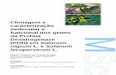 Solanum lycopersicum - Repositório Aberto da Universidade ... · Avaliação dos níveis de expressão génica por RT-PCR semiquantitativo 38 ... 2.8. Eletroforese em gel ... Análise