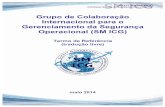 Grupo de Colaboração Internacional para o Gerenciamento da ... · As autoridades de aviação civil se beneficiarão da colaboração e troca de aprendizados e ... ferramentas de