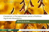 Cenários e Perspectivas para a Política Agrícola Brasileira · Cenários e Perspectivas para a Política Agrícola Brasileira Brasília, outubro de 2014 Câmara de Insumos Agropecuários