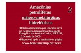 Amazônias 2 petrolíferas minero-metalúrgicas hidrelétricasseva/pdf_seva_2_amazon_miner_met_mai05.pdf · Rodovia BR 174 , proximidades da cidade Presidente Figueiredo, 170 km de