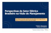 Perspectivas do Setor Elétrico Brasileiro na Visão do ... · dinâmica da indústria de eletricidade a nível mundial e afetando consumidores • Ações: • Aumento de eficiência