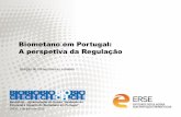 Biometano em Portugal: A perspetiva da Regulação DOMINGUES_ERSE 02 07 2015.pdf · “O volume total anual estimado de gás combustível (biogás + gás de ... que disponha de condições
