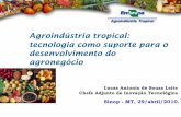 AgroindstriaAgroindstria tropical: tropical: tecnologia como s ... Indstria do caju demanda