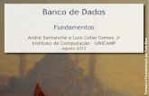 André Santanchè e Luiz Celso Gomes Jr - ic.unicamp.brsantanch/teaching/db/2014-1/slides/bd01... · Sistema Gerenciador de Banco de Dados (SGBD) Sistema de software com finalidade