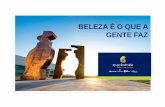 BELEZA É O QUE A GENTE FAZ - fiepr.org.br · no Brasil estão relacionadas ao uso da terra ... Atuação em conservação da biodiversidade por meio da ... Influência na construção