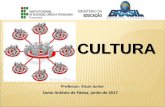 CULTURA - sociologiaiffacil.files.wordpress.com · Ser humano, cultura e sociedade Para as ciências sociais, somos "animais culturais", capazes de produzir conhecimento, mas dependentes
