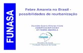 Febre Amarela no Brasil - possibilidades de reurbanização · Situação da Febre Amarela no Mundo Impacto epidemiológico Acomete em torno de 200.000 pessoas no mundo a cada ano
