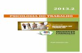 PSICOLOGIA DO TRABALHO - ifcursos.com.br · Psicologia no Trabalho  Emerson Luiz ... a transição da abordagem clássica da administração para a teoria geral de sistemas.