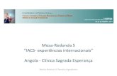 Mesa-Redonda 5 IACS experiências internacionais Angola ... · Comissões e Grupos de trabalho da CSE Acções desenvolvidas Grupo dinamizador da qualidade (GDQ) Inquérito de prevalência