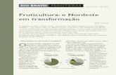 Fruticultura:o Nordeste em transformação · na Bahia,Rio Grande do Norte e Pernambuco. Segundo relatório do Ministério do Meio Ambiente de 2006,a área irrigada em produção