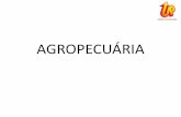 AGROPECUÁRIA - upvix.com.br · característica da estrutura fundiária brasileira ... a agricultura itinerante, com técnicas avançadas de cultivo. ... reduzir o impacto ambiental