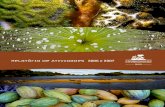 Relatório de Atividades 2006 e 2007 - conservation.org · Nossa Missão A missão da Conservação Internacional é conservar o patrimônio natural do planeta – nossa biodiversidade
