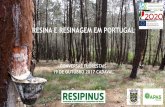 CONVERSAS FLORESTAIS 19 DE OUTUBRO 2017 CADAVAL - …resipinus.pt/wp-content/uploads/2018/02/Resinagem-em-Portugal... · Valoriza os povoamentos de resinosas - criação de emprego