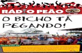 Rádio Peão Maio de 2014 - sintrapav.com.br · O problema é que a fragmentação da representação sindical enfraquece a luta dos trabalhadores por melhores salários e benefícios.