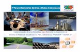 1º Fórum Nacional de Centros e Redes de Excelência · PROMINP – Programa de Mobilização da Indústria Nacional de Petróleo e Gás Natural DECRETO Nº 4.925: EESSTTRRUUTTUURRAA