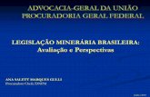 LEGISLAÇÃO MINERÁRIA BRASILEIRA: Avaliação e Perspectivas · Relevância da atividade mineral A atividade mineral apresenta-se como uma atividade vital para a sociedade, haja