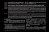 Fonseca EKUN et al Avaliação ultrassonográfica da dor ... · Avenida Albert Einstein, 627, Morumbi. São Paulo, SP, Brasil, 05652-901. E-mail: ... mentado em uma orquite não complicada.