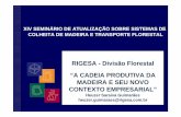RIGESA - Divisão Florestal “A CADEIA PRODUTIVA DA ... · madeira e seu novo contexto empresarial ... ¾macroplanejamento & microplanejamento