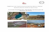 A Gestão Estadual das Atividades de Extração do Minério de ... FINAL.pdf · PAE – Plano de Aproveitamento Econômico PAFEM – Plano de Fechamento de Mina . PCA – Plano de