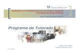 Programa de Tutorado - Técnico Lisboa · Apresentação institucional dos Tutores aos alunos no início do ano Apoio aos Tutores: Coaching / Formação ... Exemplos de Boas Práticas