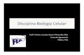 Disciplina Biologia Celular - Portal da FEA · Disciplina Biologia Celular ProfªCristina Lacerda Soares PetrarolhaSilva Curso de Agronomia FISMA / FEA