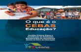 LEGISLAÇÃO - Certificação de Entidades Beneficentes de ...cebas.mec.gov.br/images/pdf/cartilha_cebas_web.pdf · existentes, é uma ação que contribui de maneira efetiva para
